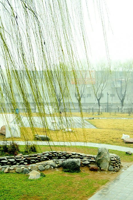春天已来临