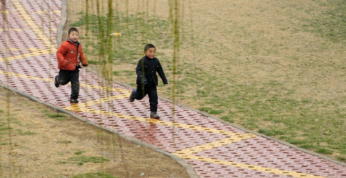 春天已来临