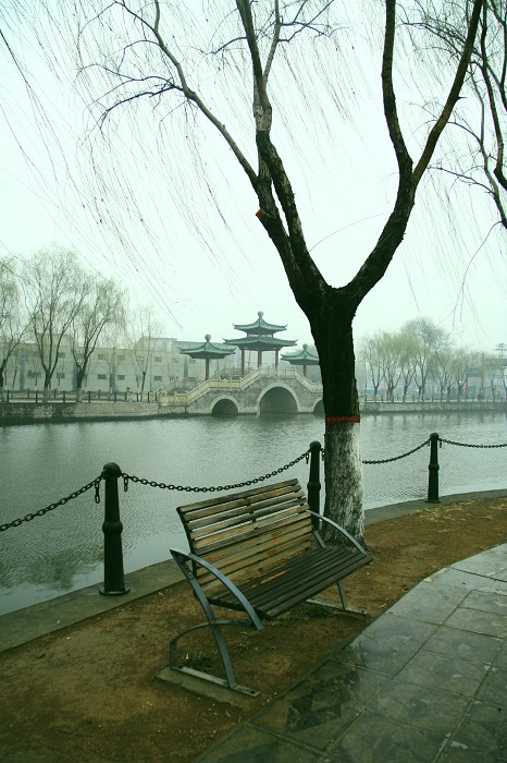 春天已来临