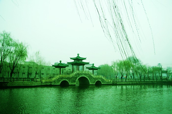 春天已来临