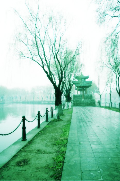 春天已来临
