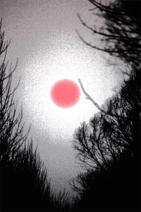 映画