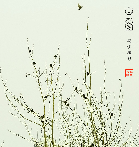 春之韵