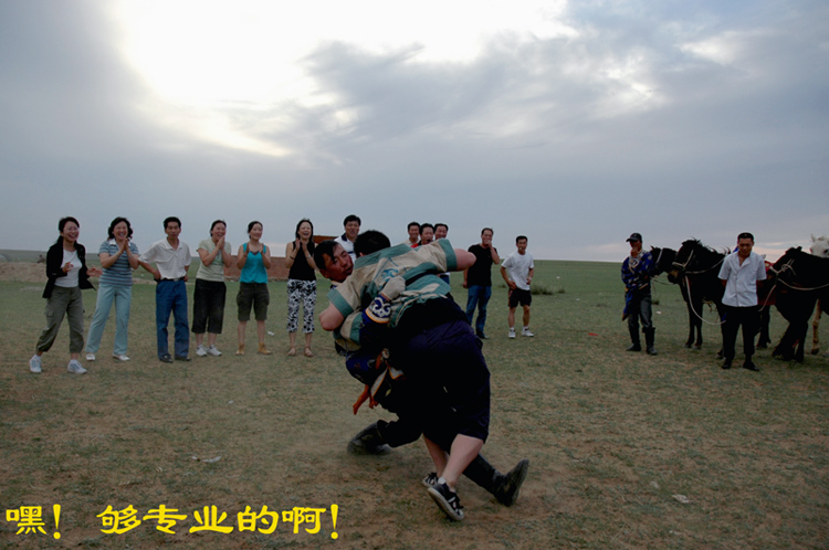 草原风情