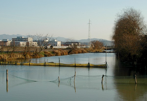 田野小河