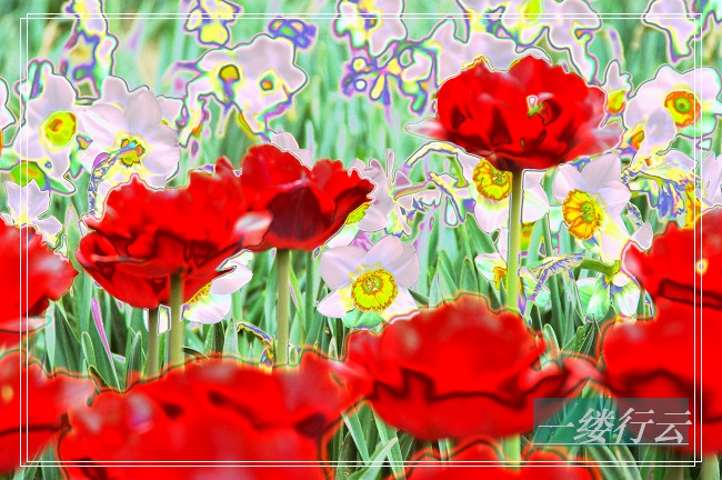 花非花