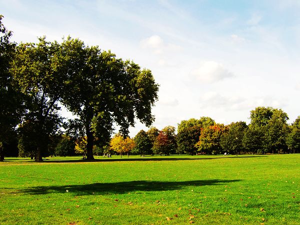 [原创]英国海德公园