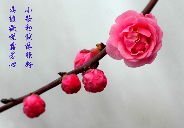 满园春色关不住，忙煞“油摄”采风人
