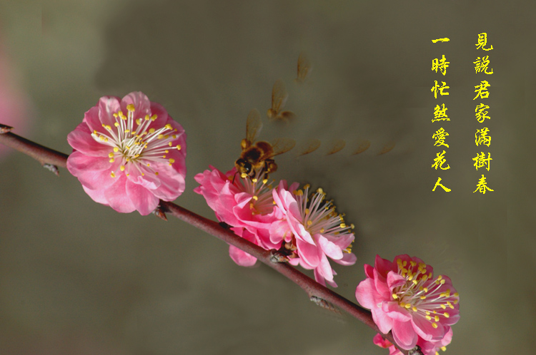 满园春色关不住，忙煞“油摄”采风人