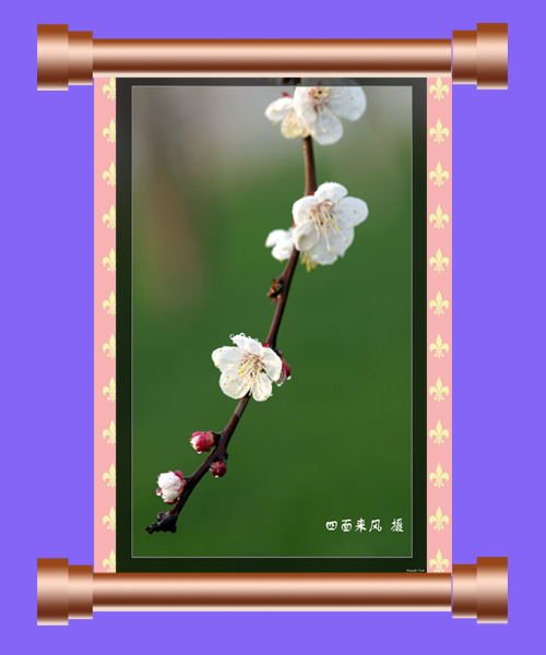 风云之习作系列－1