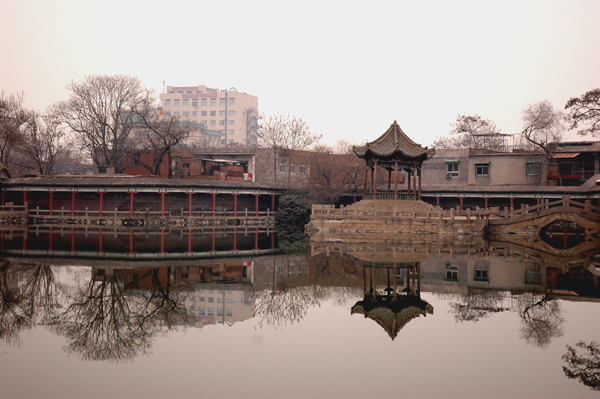 儿时的乐园