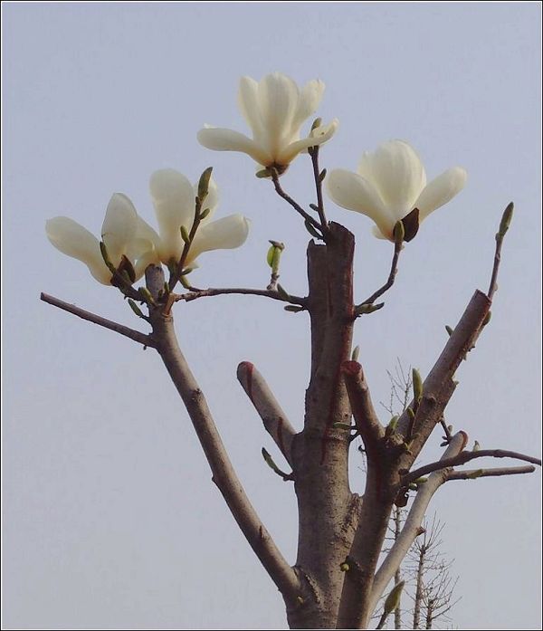 纯洁世界
