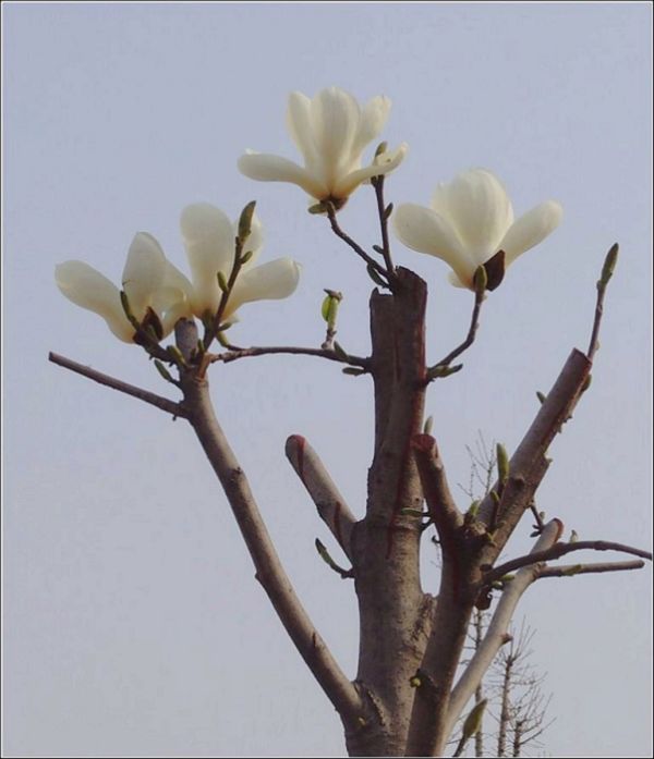 纯洁世界