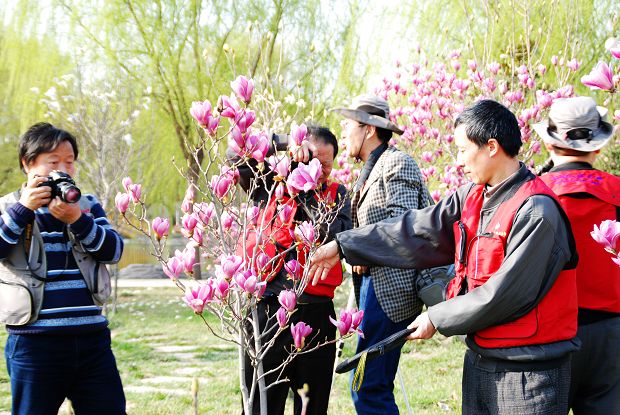濮阳电视台采访花絮——开心摄影在春天