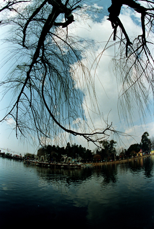 回首走过的地方