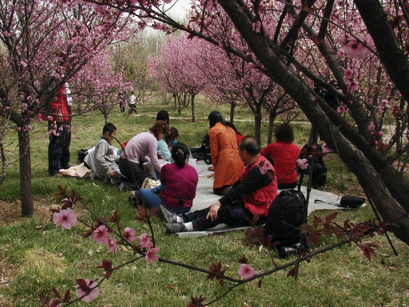 3月31日绿色庄园活动花絮