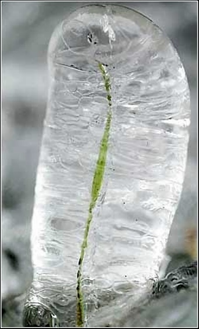 [推荐]一瞬成经典 2006年度世界最佳照片[组图]