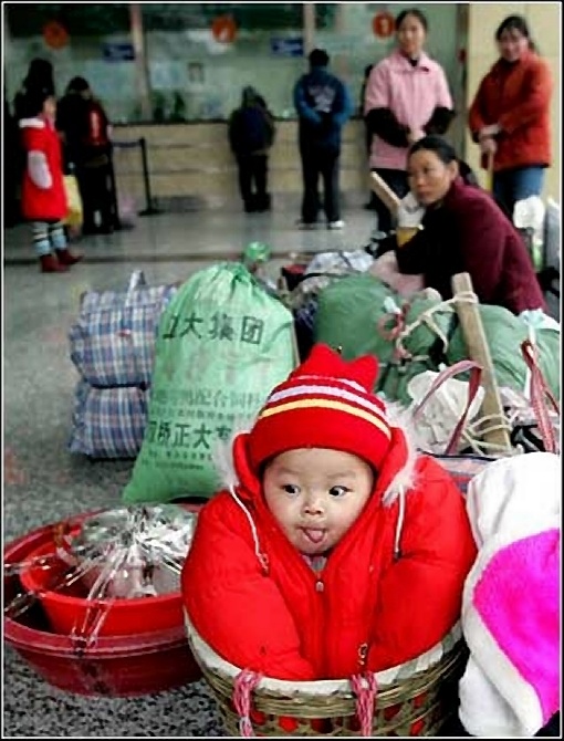 [推荐]一瞬成经典 2006年度世界最佳照片[组图]
