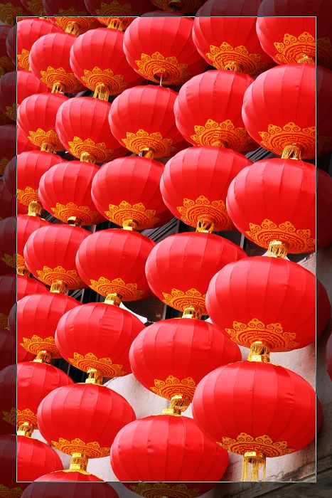 祝福石油人摄影网女摄友节日好!!!