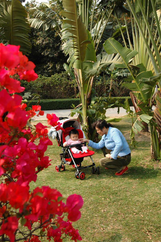深圳荔枝公园2007.2.3