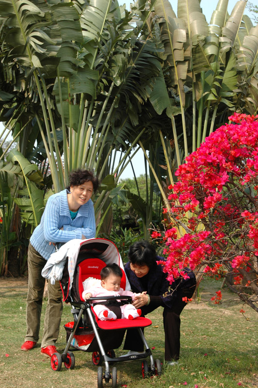 深圳荔枝公园2007.2.3
