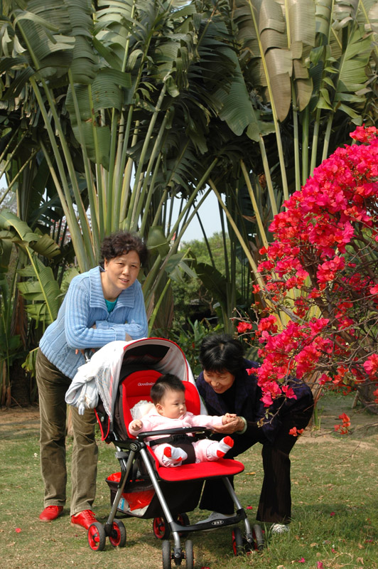 深圳荔枝公园2007.2.3