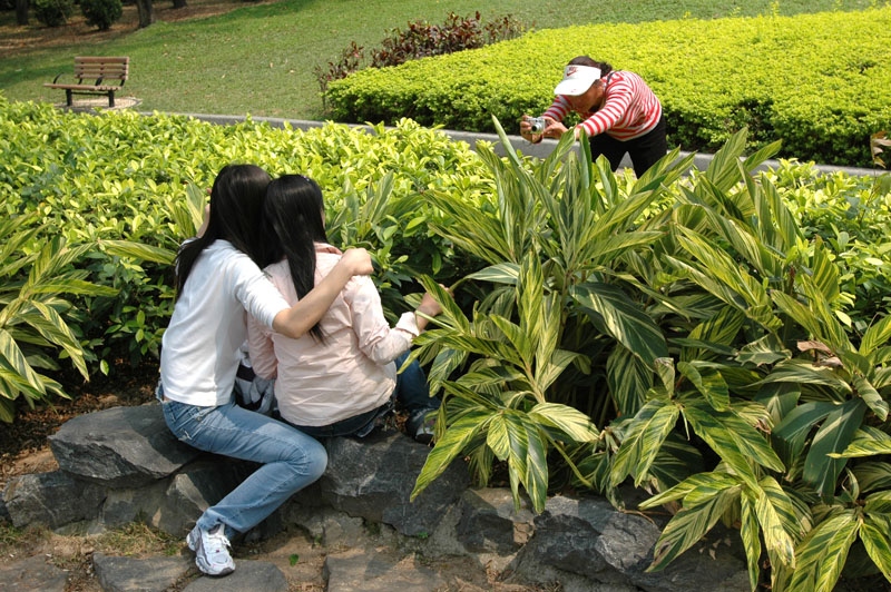 深圳荔枝公园2007.2.3