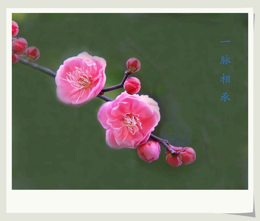 一脉相承