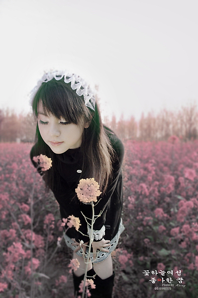 花仙子的第七個夢