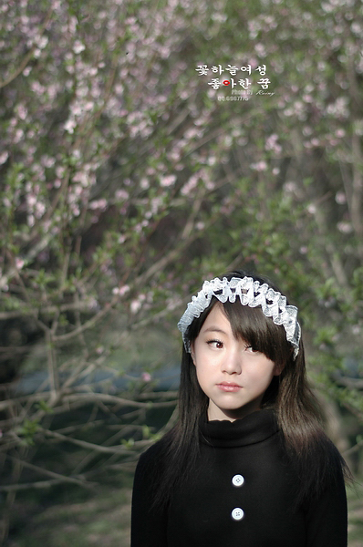 花仙子的第七個夢