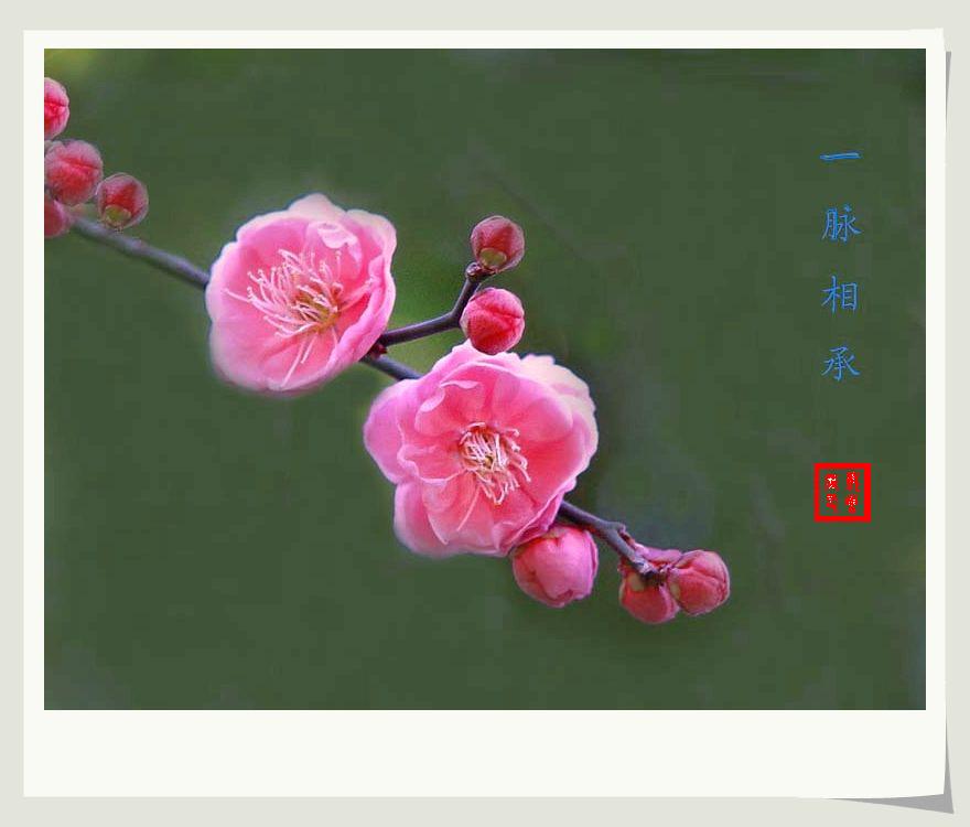 一脉相承