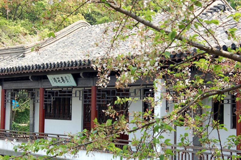 东南飞