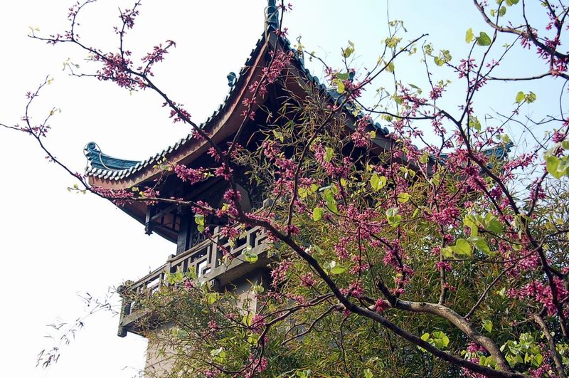 "东南飞"之一