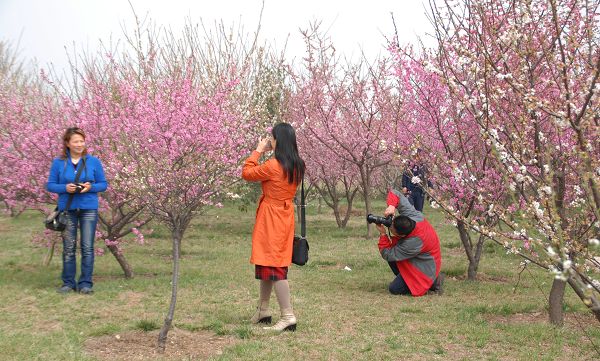 3月31日绿色庄园活动花絮