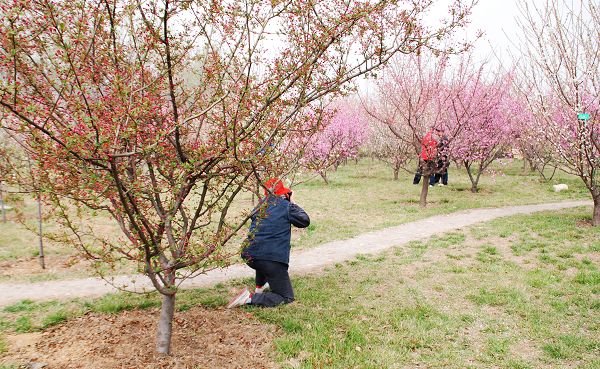 3月31日绿色庄园活动花絮