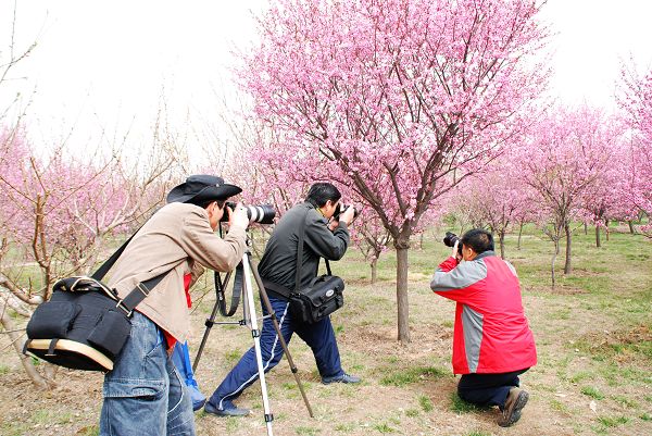3月31日绿色庄园活动花絮