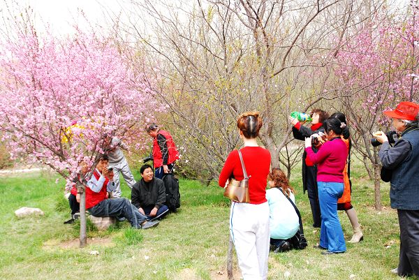 3月31日绿色庄园活动花絮
