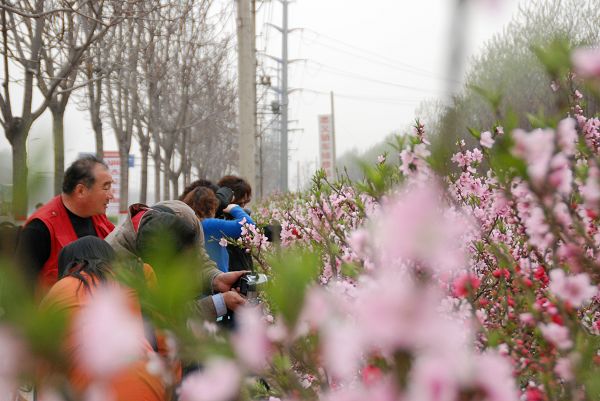 3月31日绿色庄园活动花絮