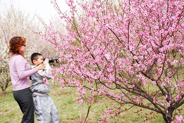3月31日绿色庄园活动花絮