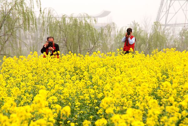 3月31日绿色庄园活动花絮