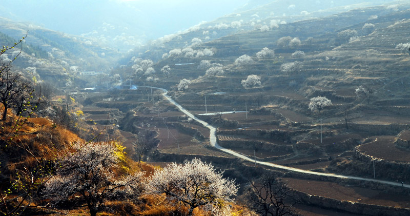 山东鹅庄--小山村