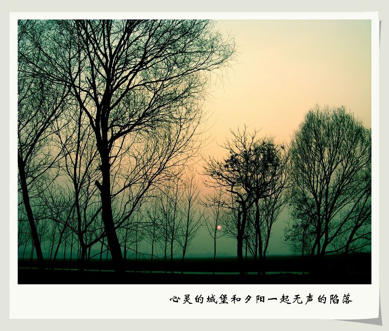 油区日落——陷落