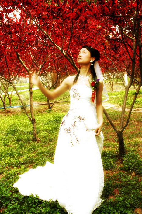 婚纱人像