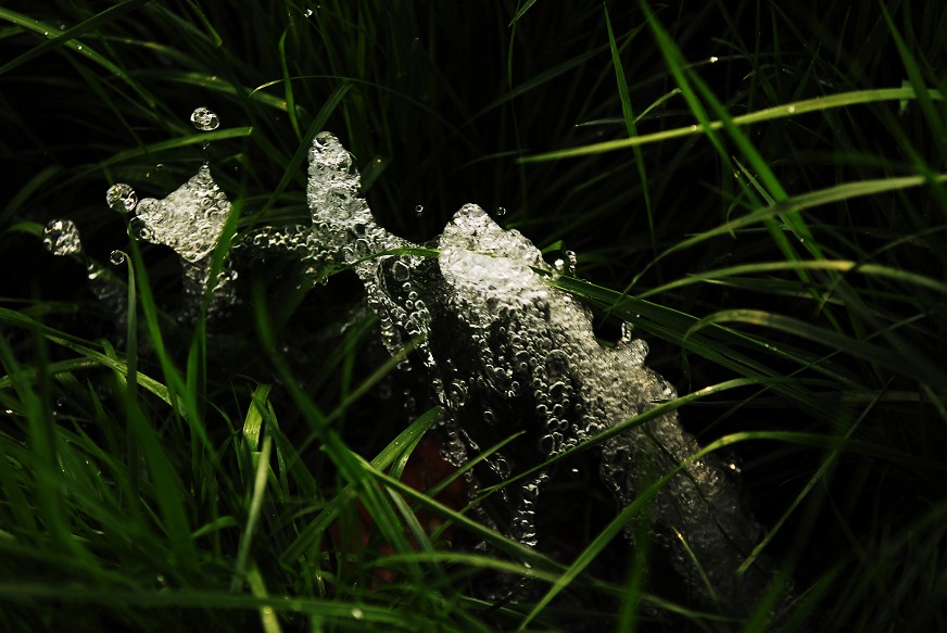 水