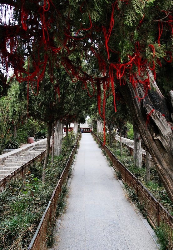 这个地方可以转一转