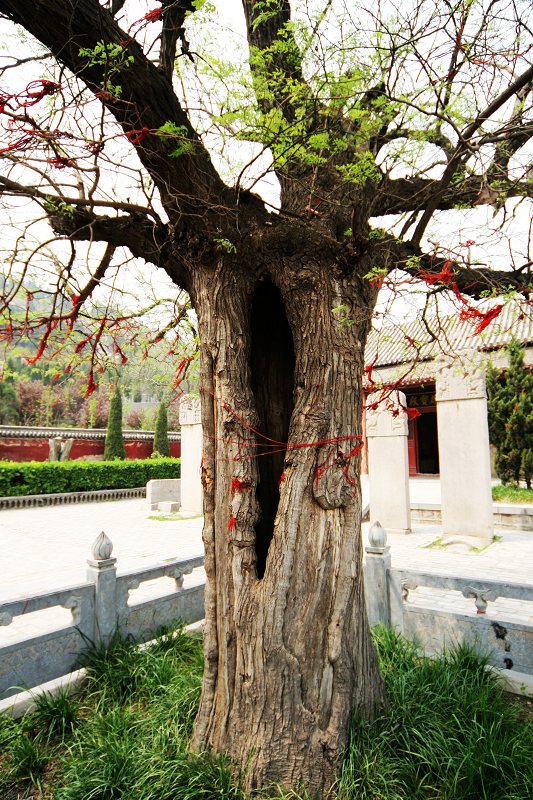 这个地方可以转一转