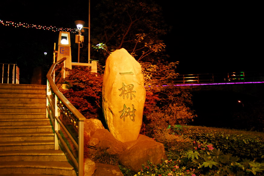 山城夜色