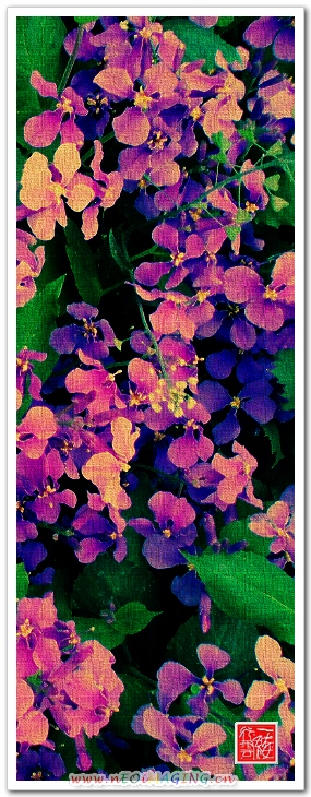 花非花！