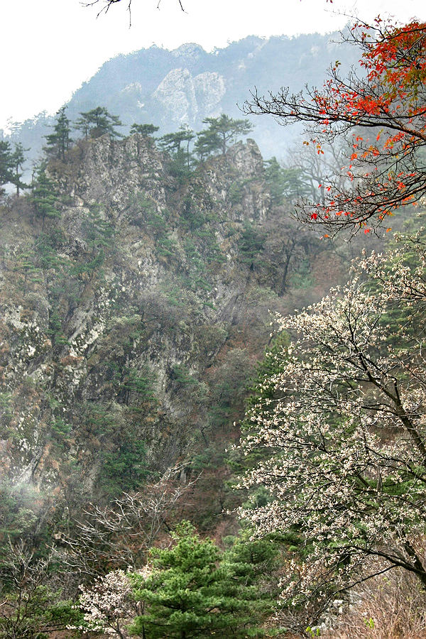 石人山一组