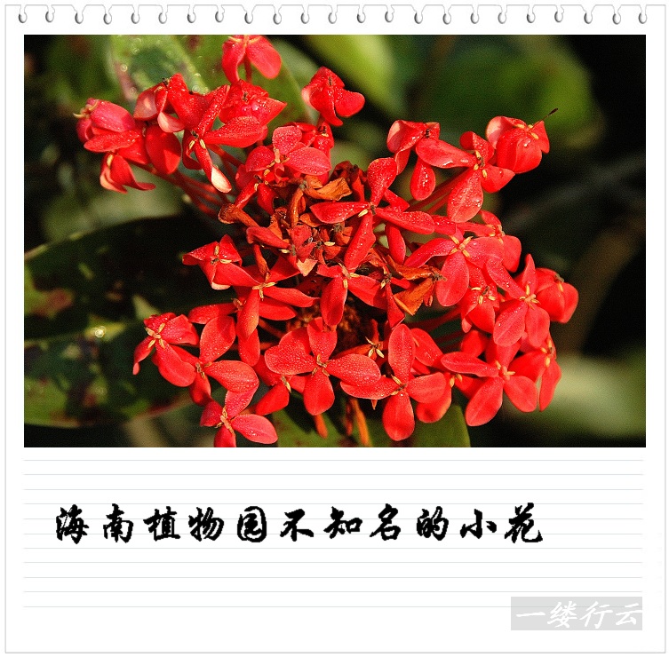 南行记
